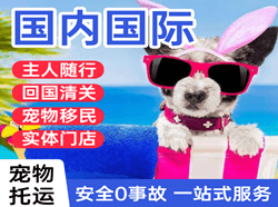 包头空运代理国际宠物托运 【国